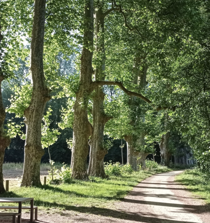 Gazette Ecorela, écologie relationnelle, Niort