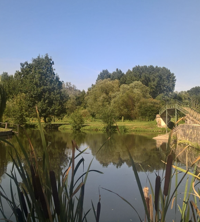 Semer les graines de l'écologie relationnelle, écologie relationnelle, Niort