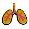 Respiration, Jean Paul Jakubowski, Ecorela écologie relationnelle, PNL, Niort, Deux Sèvres