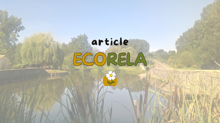 Article, Jean Paul Jakubowski, Ecorela, écologie relationnelle, Niort, Deux Sèvres